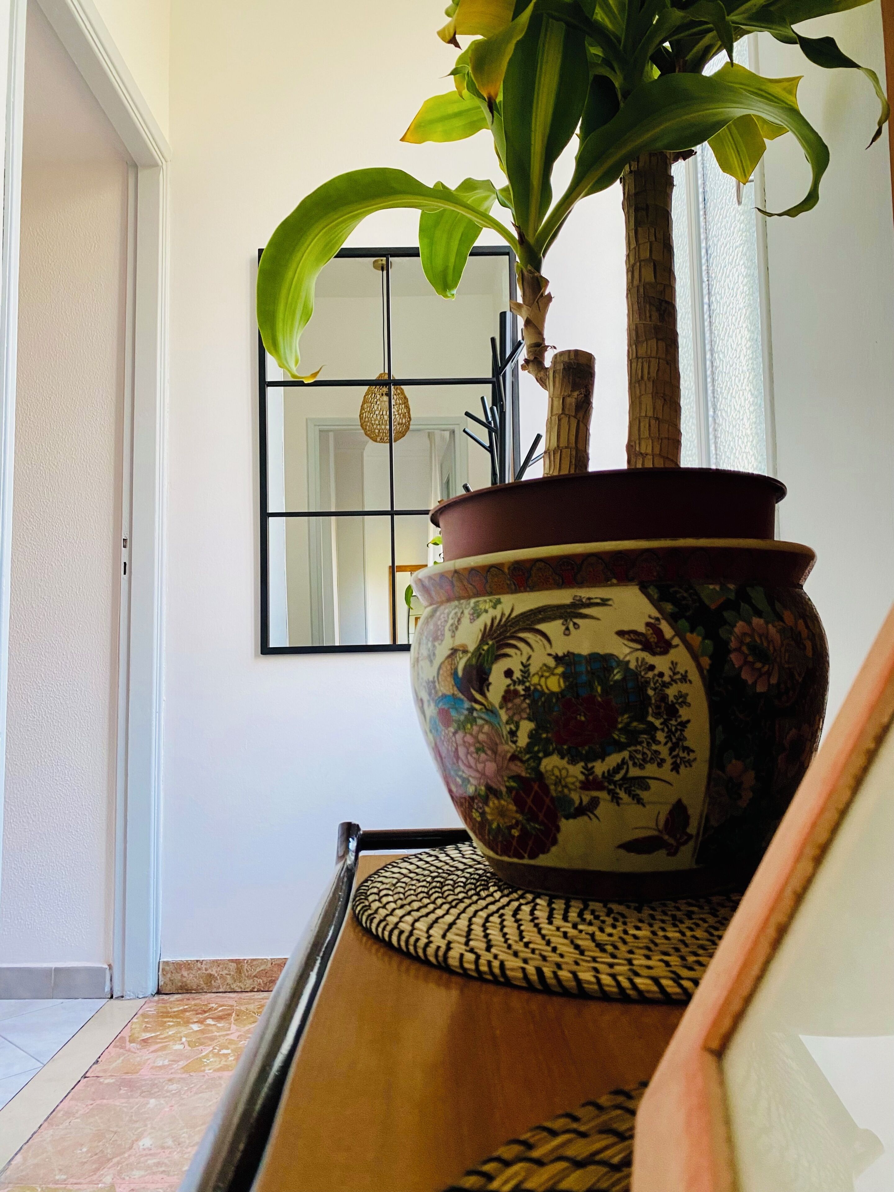 Una planta en maceta con un diseño decorativo sobre una superficie de madera.