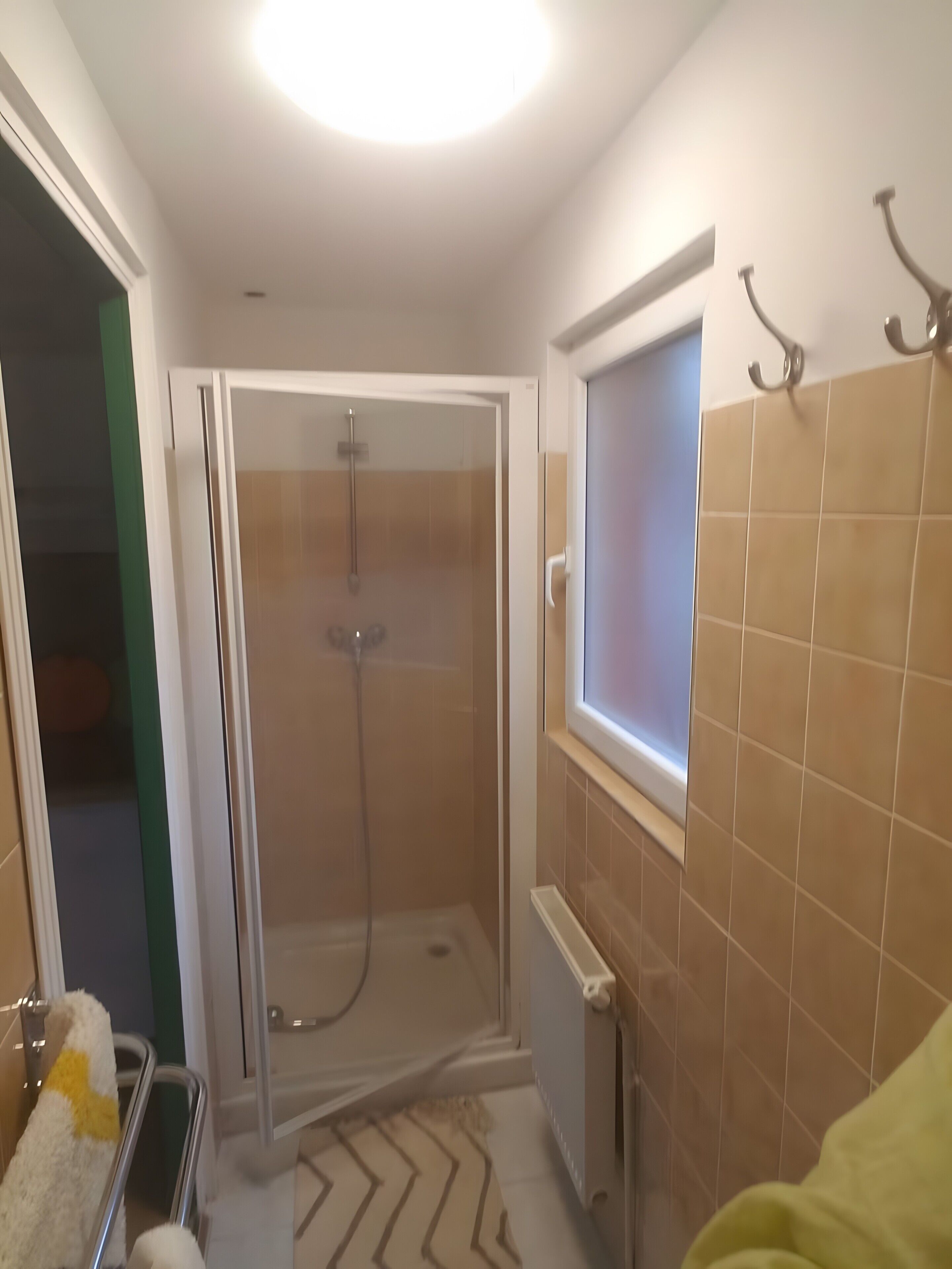 Une salle de bain avec une douche à parois de verre, un porte-serviettes et un radiateur.