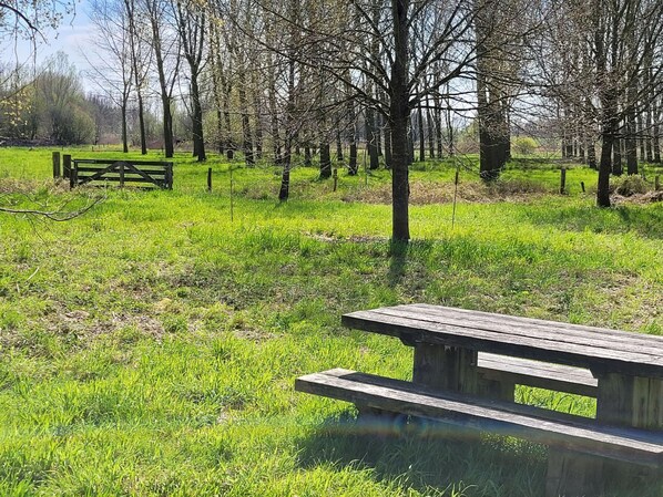 A picnic table in a grassy field with trees in the background.