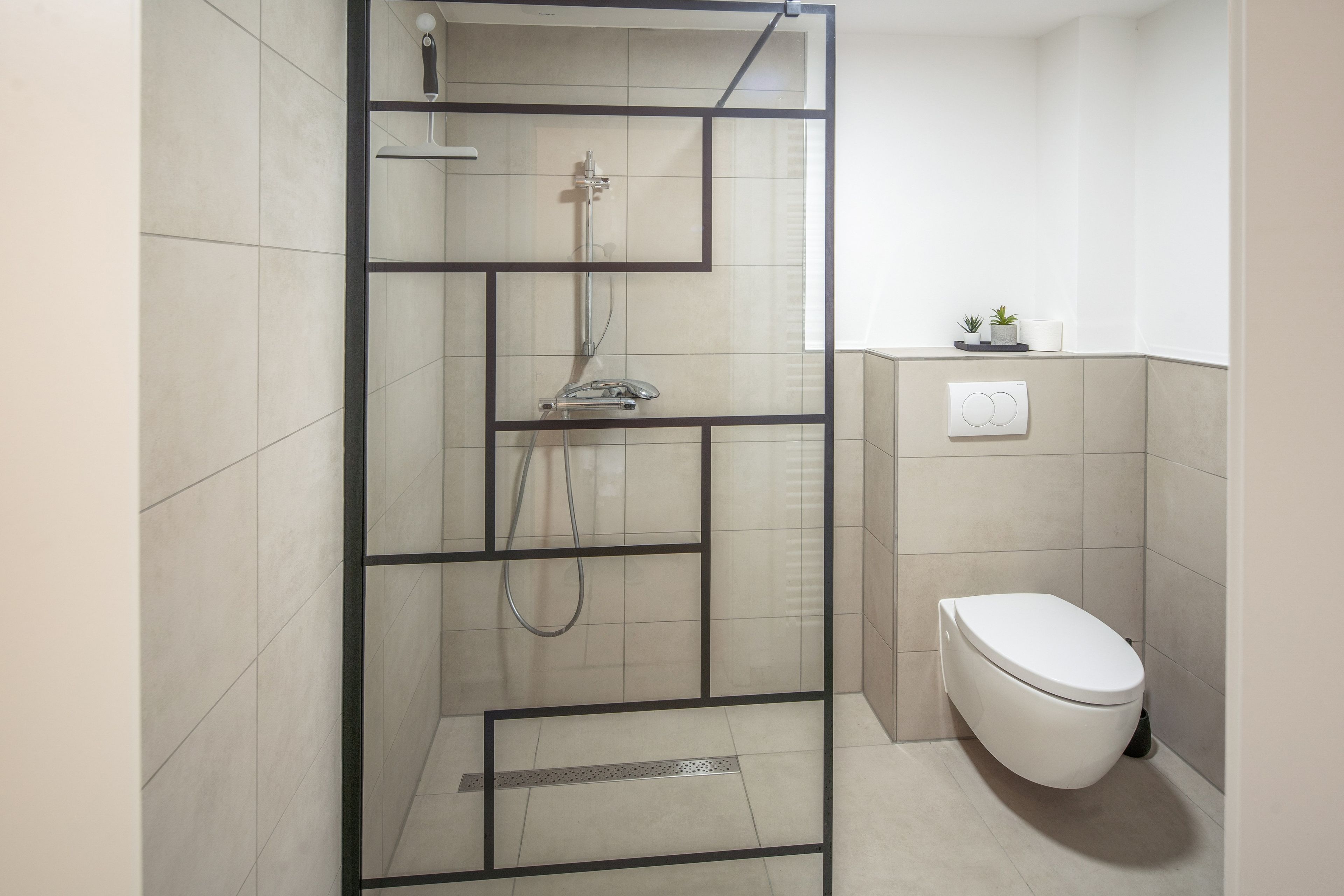 Ein modernes Badezimmer mit Duschkabine, Toilette und einer kleinen Ablage mit Pflanzen.