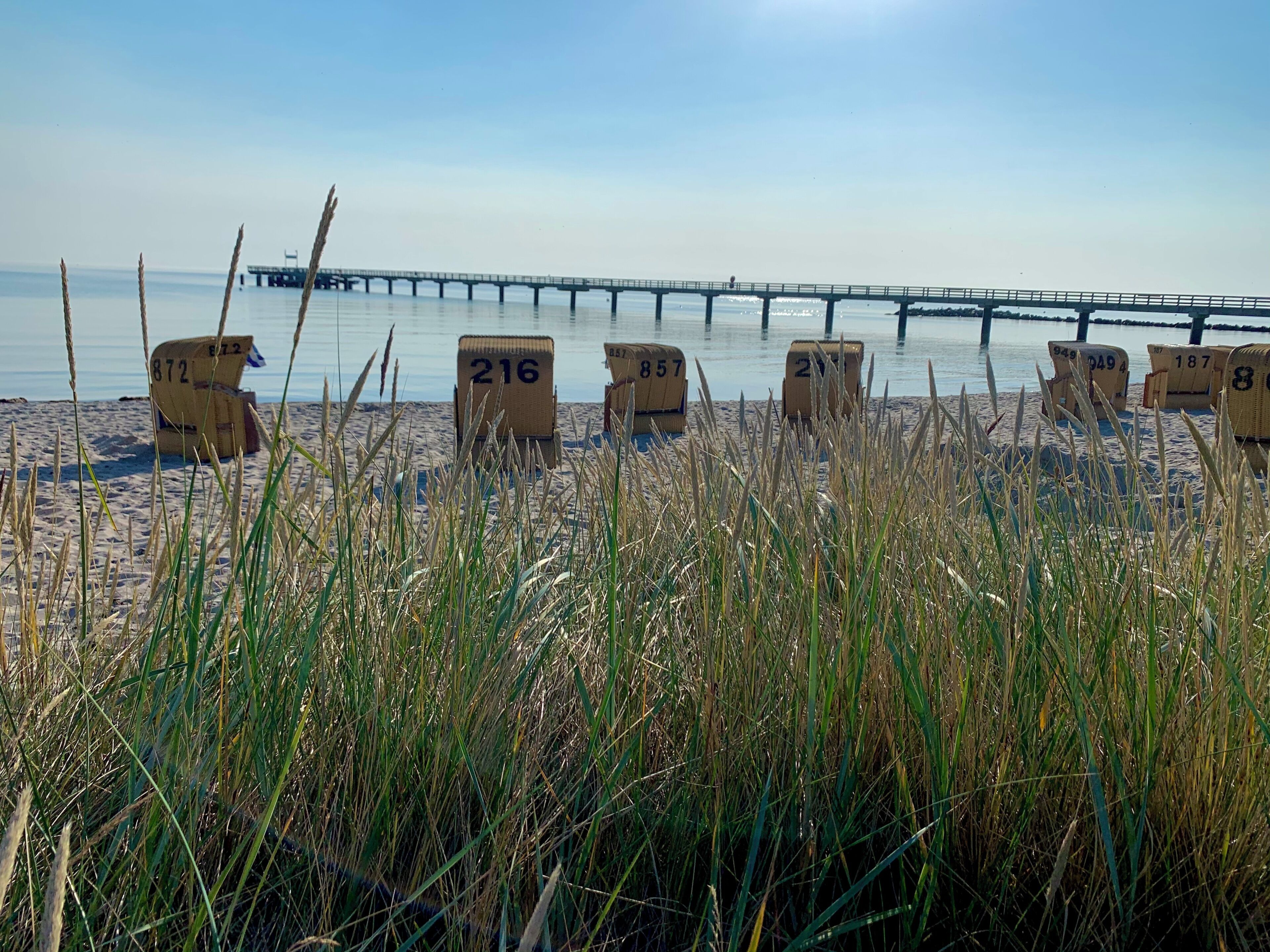 Une plage avec des chaises de plage numérotées et une jetée en arrière-plan.