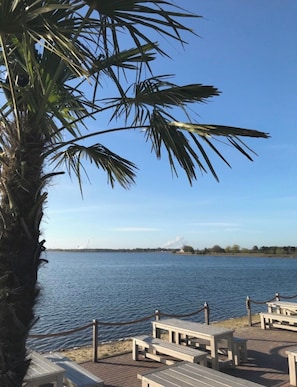 Blick auf das Wasser mit einer Palme, Bänken und blauem Himmel.