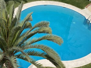 A swimming pool with a palm tree in the foreground. - Penthouse Seaview Centro by Casasol by Interhome (Nerja)