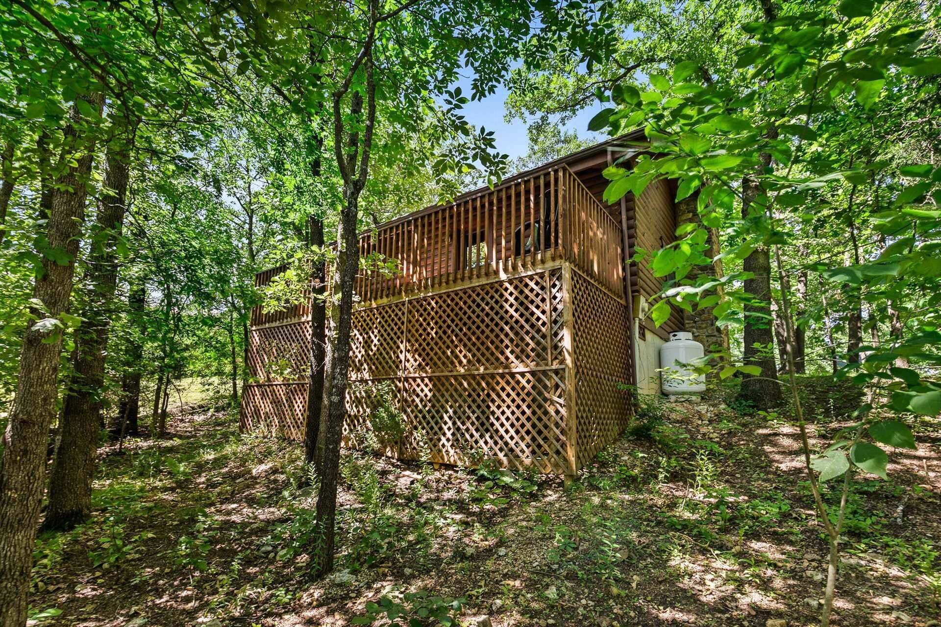 A wooden cabin surrounded by dense forest.