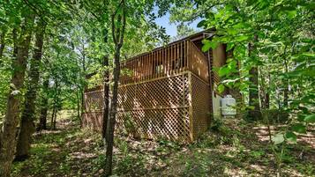 A wooden cabin surrounded by dense forest.