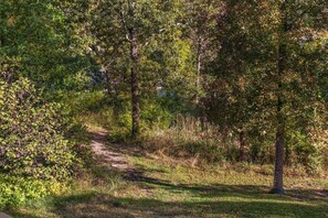 A forested area with a dirt path. - Walk to Table Rock - Beautiful Logcabin- Free Daily Attraction Tickets (Branson)