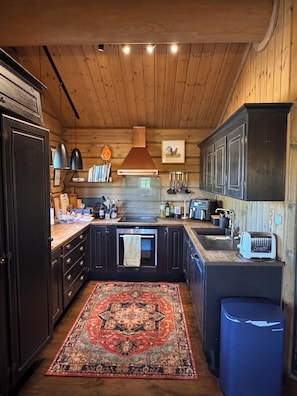 A kitchen with wooden cabinets, a built-in oven, a sink, and a toaster.