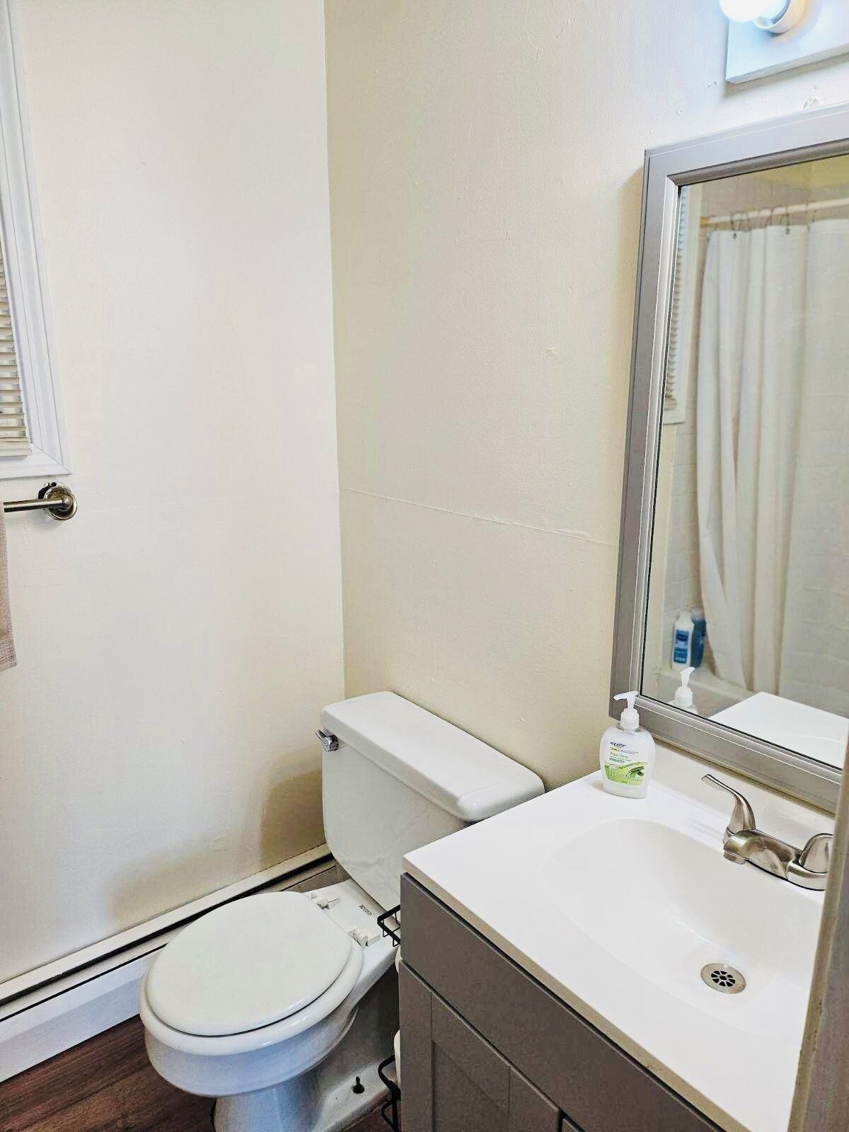 Un baño con inodoro, lavamanos y espejo.