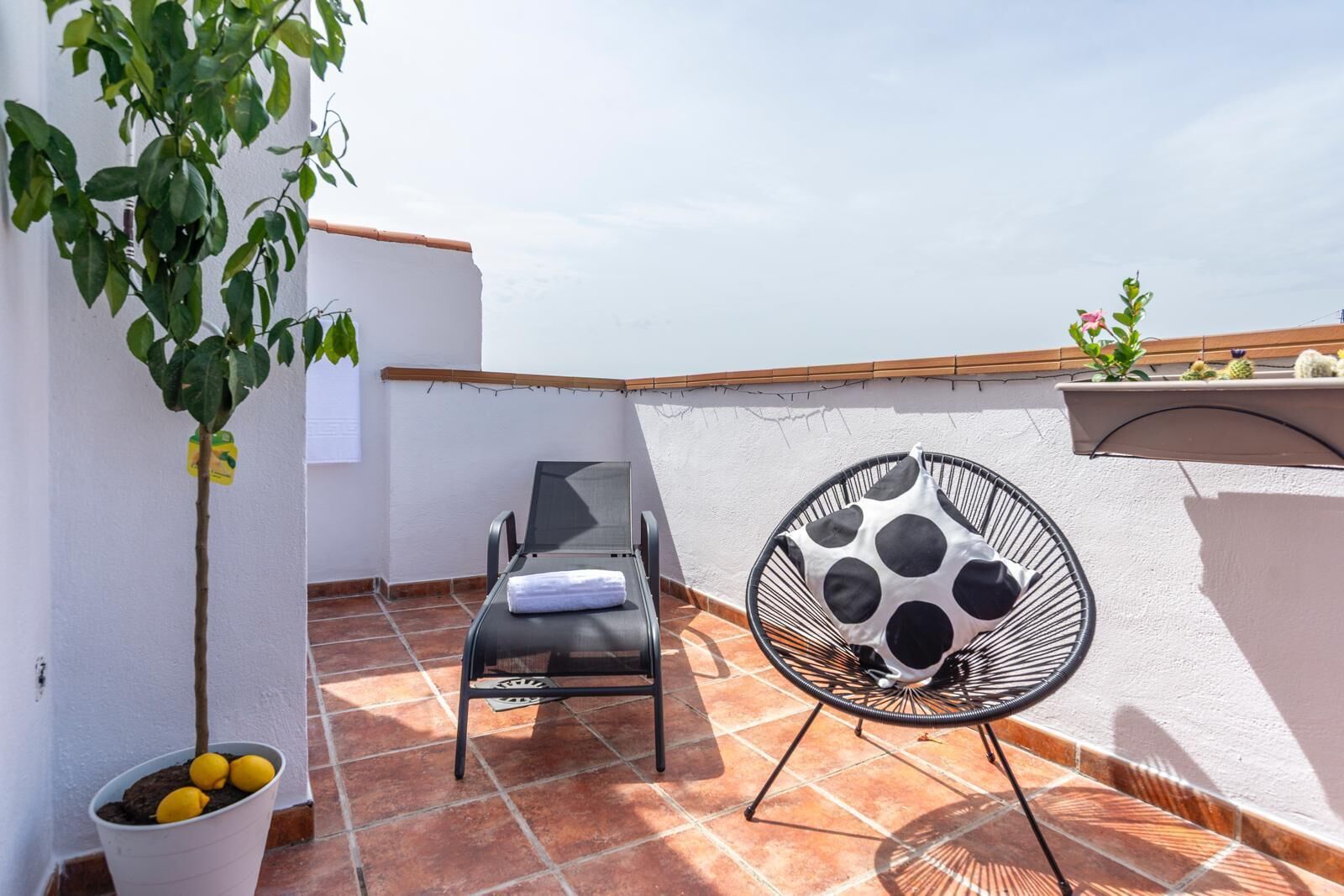 Une terrasse sur le toit avec un fauteuil de relaxation, un fauteuil suspendu et un citronnier en pot.