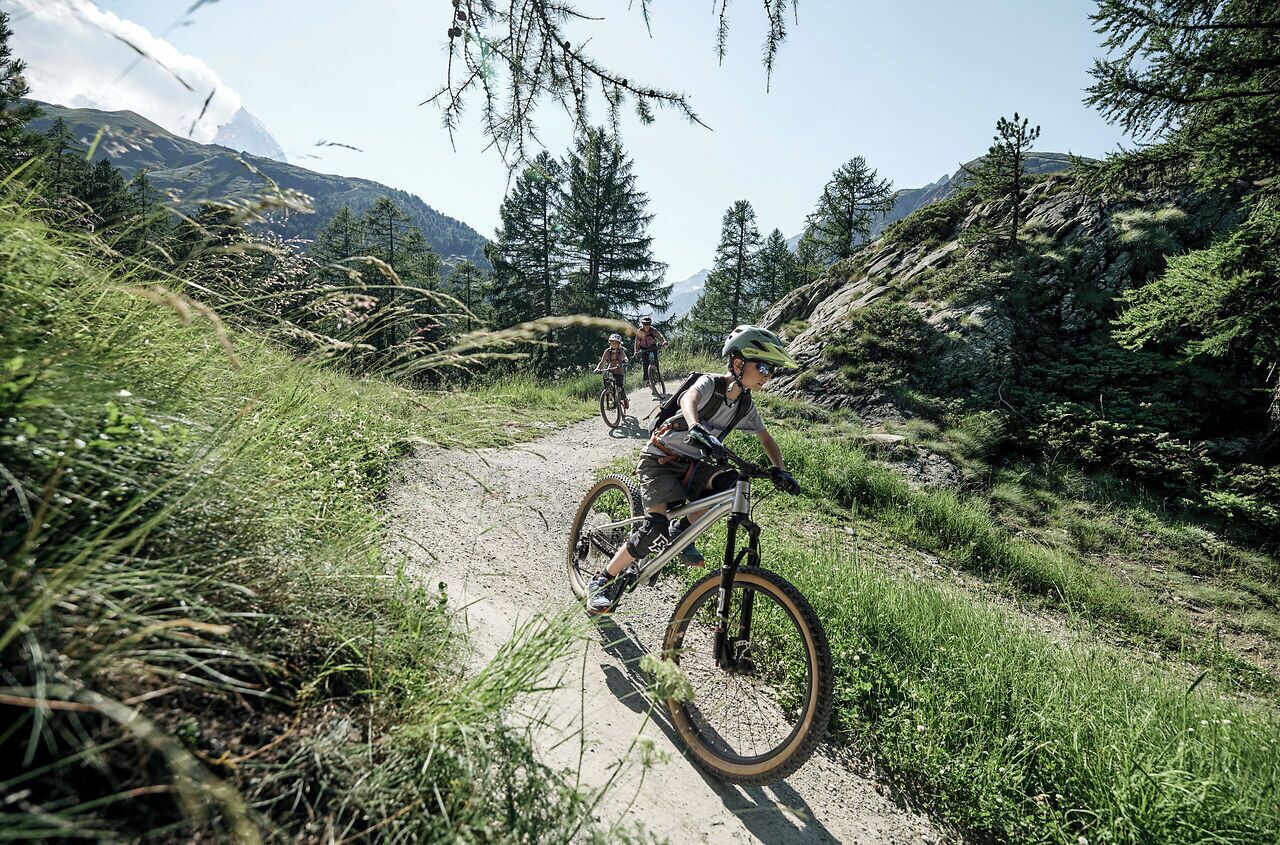 Een mountainbiketrail met natuurlijke omgeving en bergen in de verte.