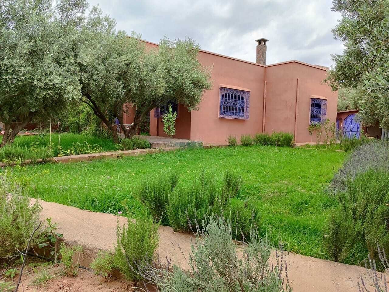 A building with a red exterior, a garden with green grass and trees, and a clear sky.