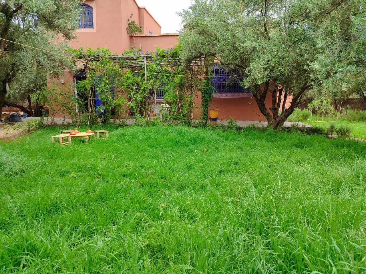 A grassy yard with a building in the background.