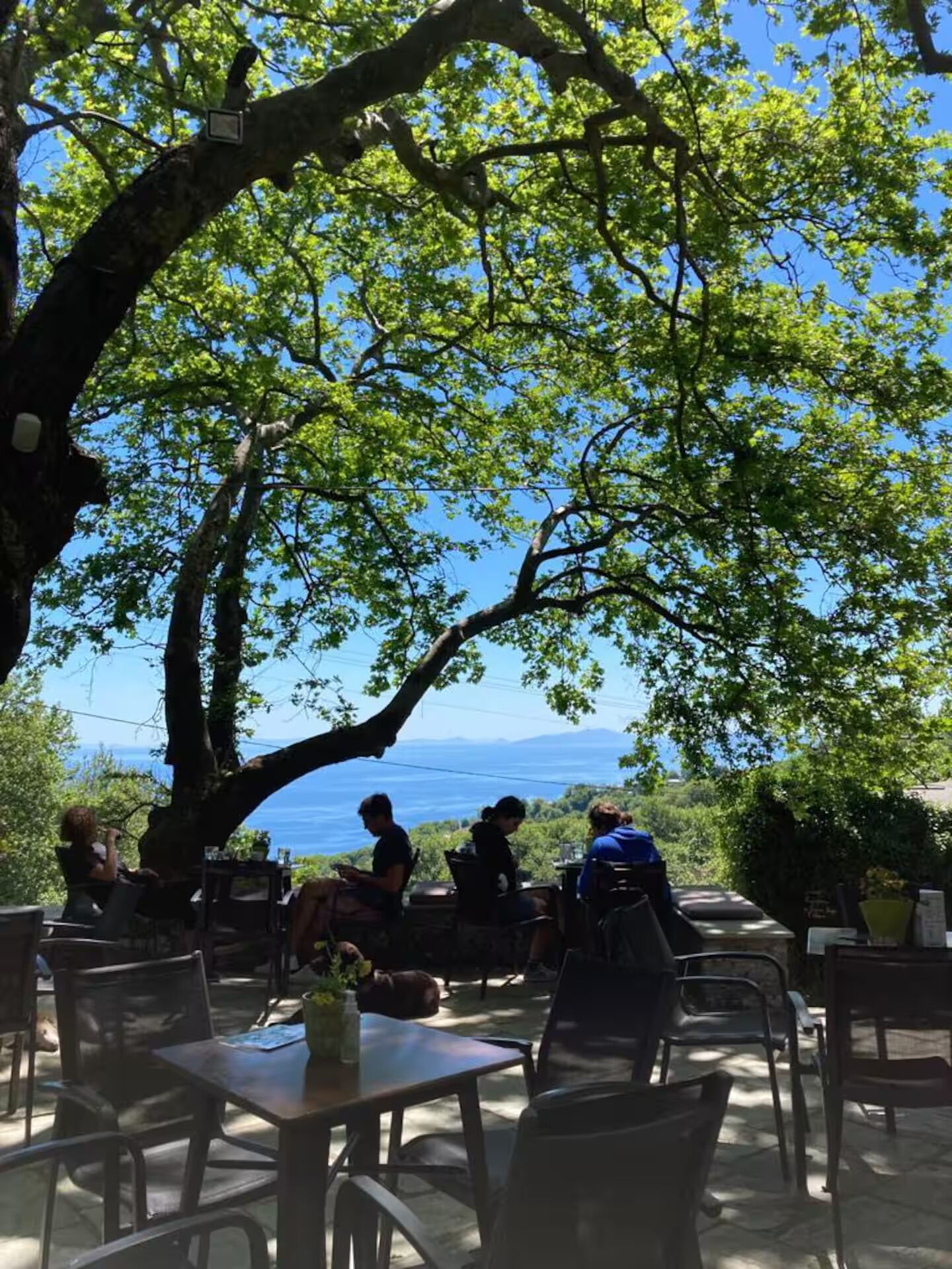室外用餐