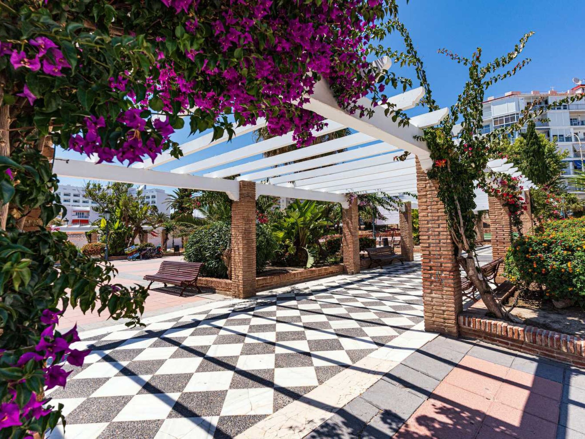 A covered outdoor area with a checkered floor, benches, and a pergola with flowering plants.