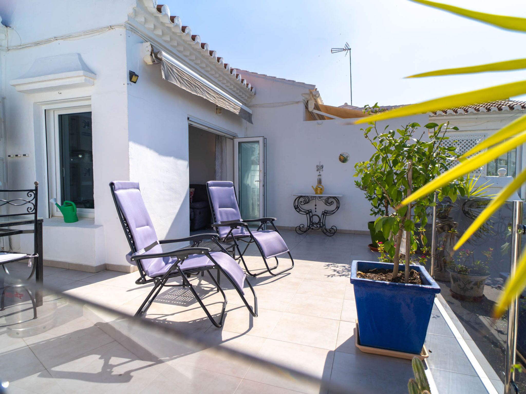 A balcony with two folding chairs, a potted plant, and a small table.
