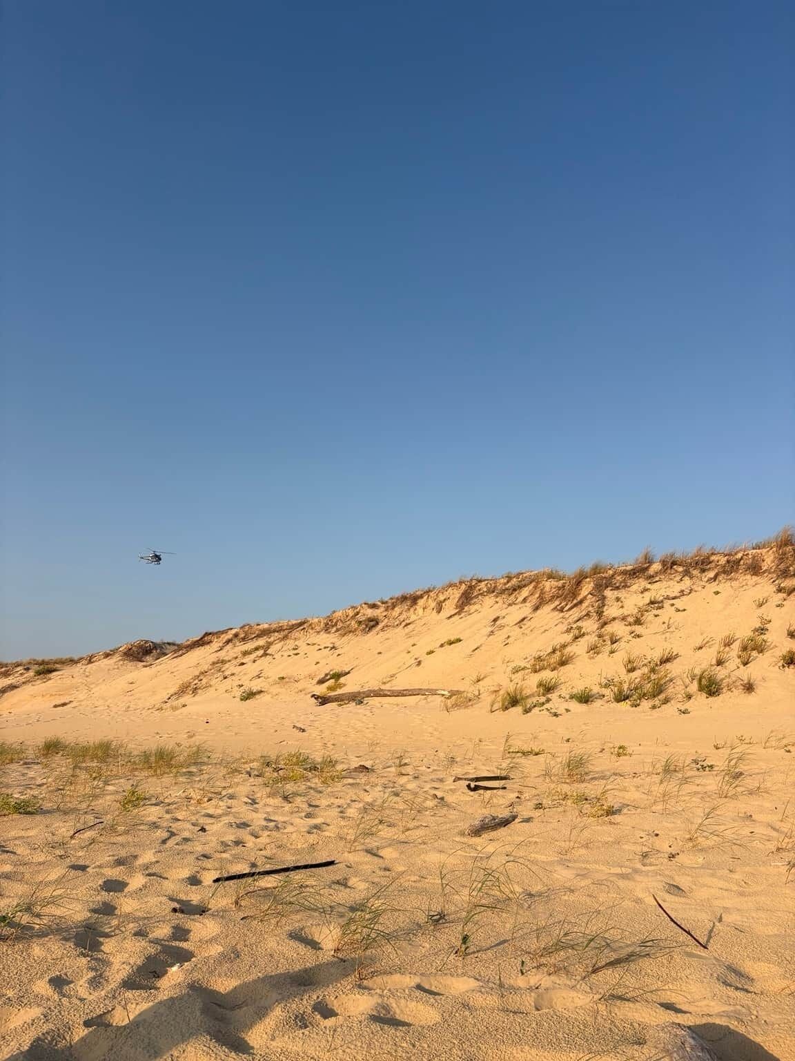 Woestijnlandschap met zandduinen en schaarse begroeiing.