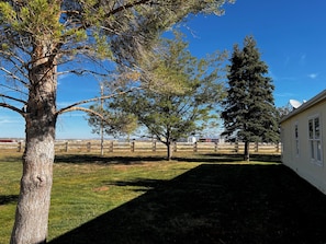 A grassy outdoor area with trees and a building with windows. - Pines Peaks Retreat - 3 bedroom 2 bath, sleeps 8 - Gateway to Southern Utah (Cedar City)