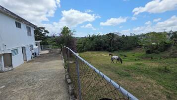 Un área cercada con un edificio a la izquierda y dos caballos pastando a lo lejos.