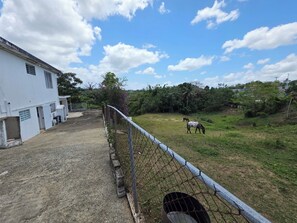 Un espace clos, avec un bâtiment sur la gauche et deux chevaux qui paissent au loin.