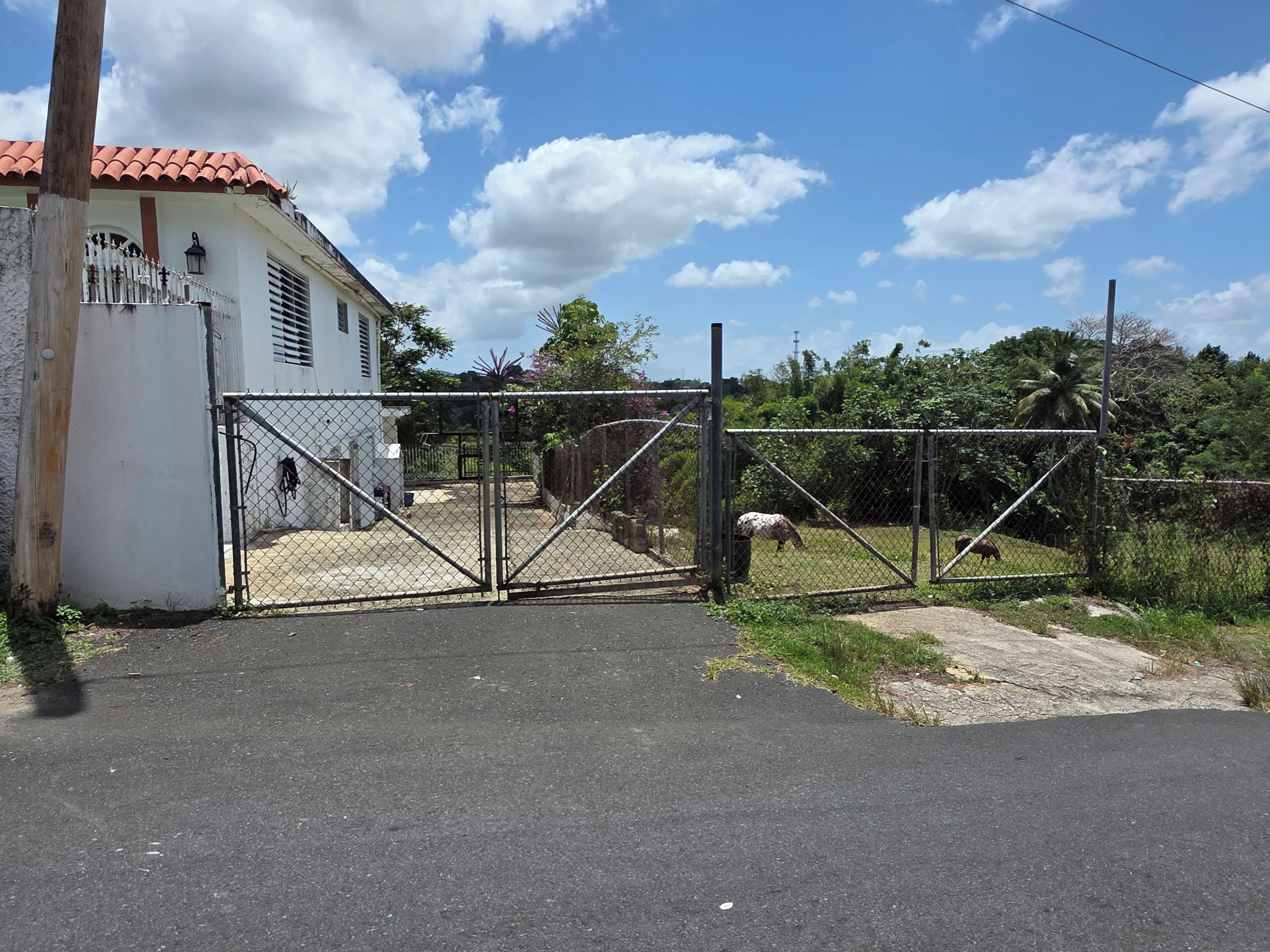 Property grounds
