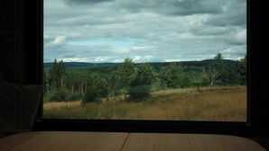 Une pièce dotée d’une grande fenêtre donnant sur un paysage boisé.