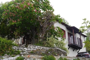 Ulkopuoli
