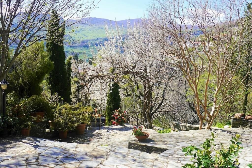 Un jardín con pavimento de piedra, plantas en macetas y vista a un paisaje montañoso.