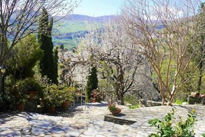 Un jardín con pavimento de piedra, plantas en macetas y vista a un paisaje montañoso.