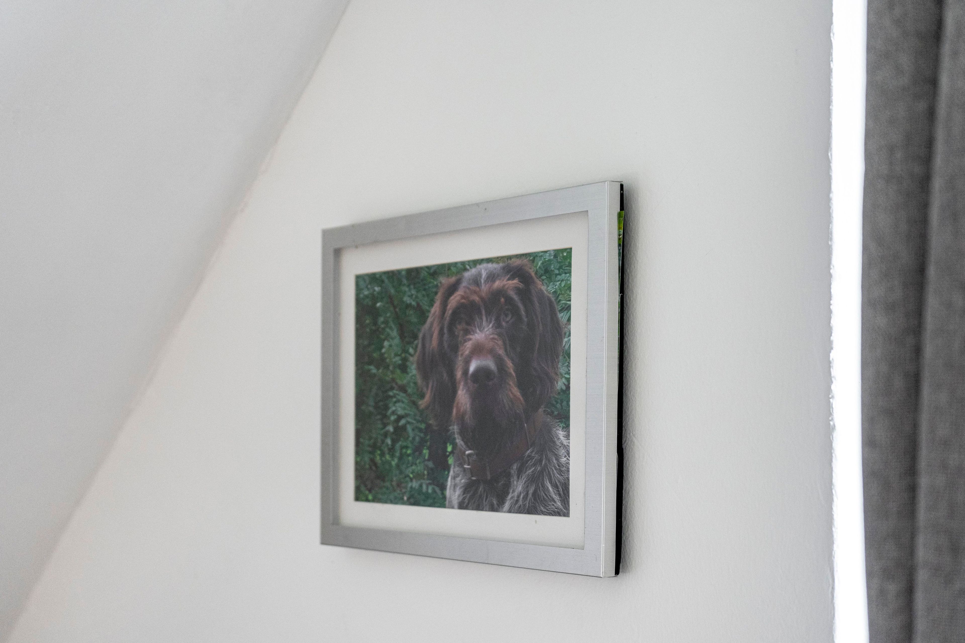 Een foto van een hond in een lijstje aan de muur.