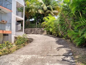 A concrete pathway leading to a building with balconies, surrounded by lush greenery and palm trees. - Ocean view, close to all amenities (Saint-François)