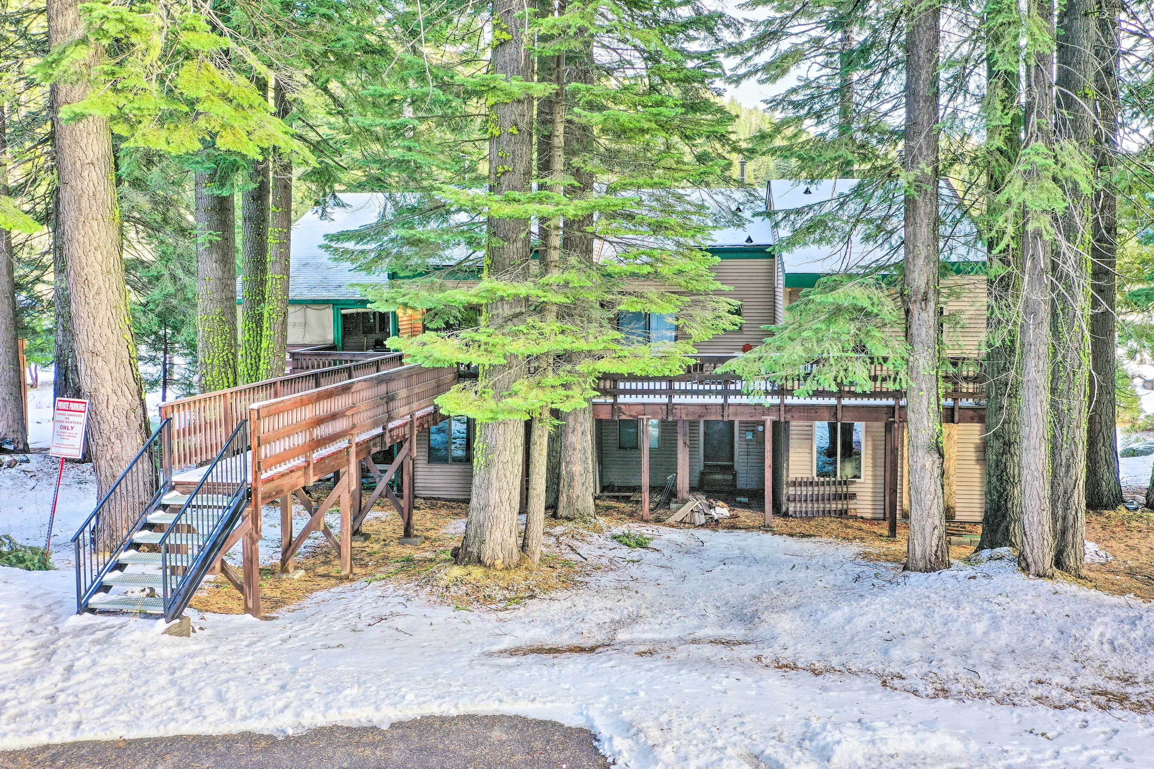 A cabin surrounded by tall trees with a wooden deck and stairs leading to a covered area.