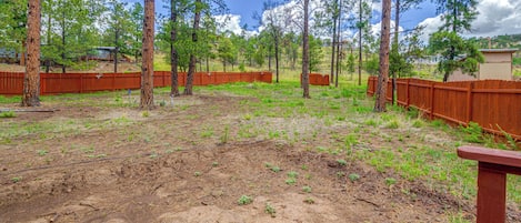A fenced outdoor area with trees and a clear sky.