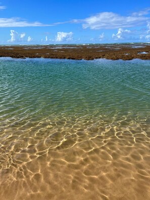 A beach with clear shallow water and a rocky shoreline. - Guarajuba, 1-bedroom apartment near the beach (Camaçari)