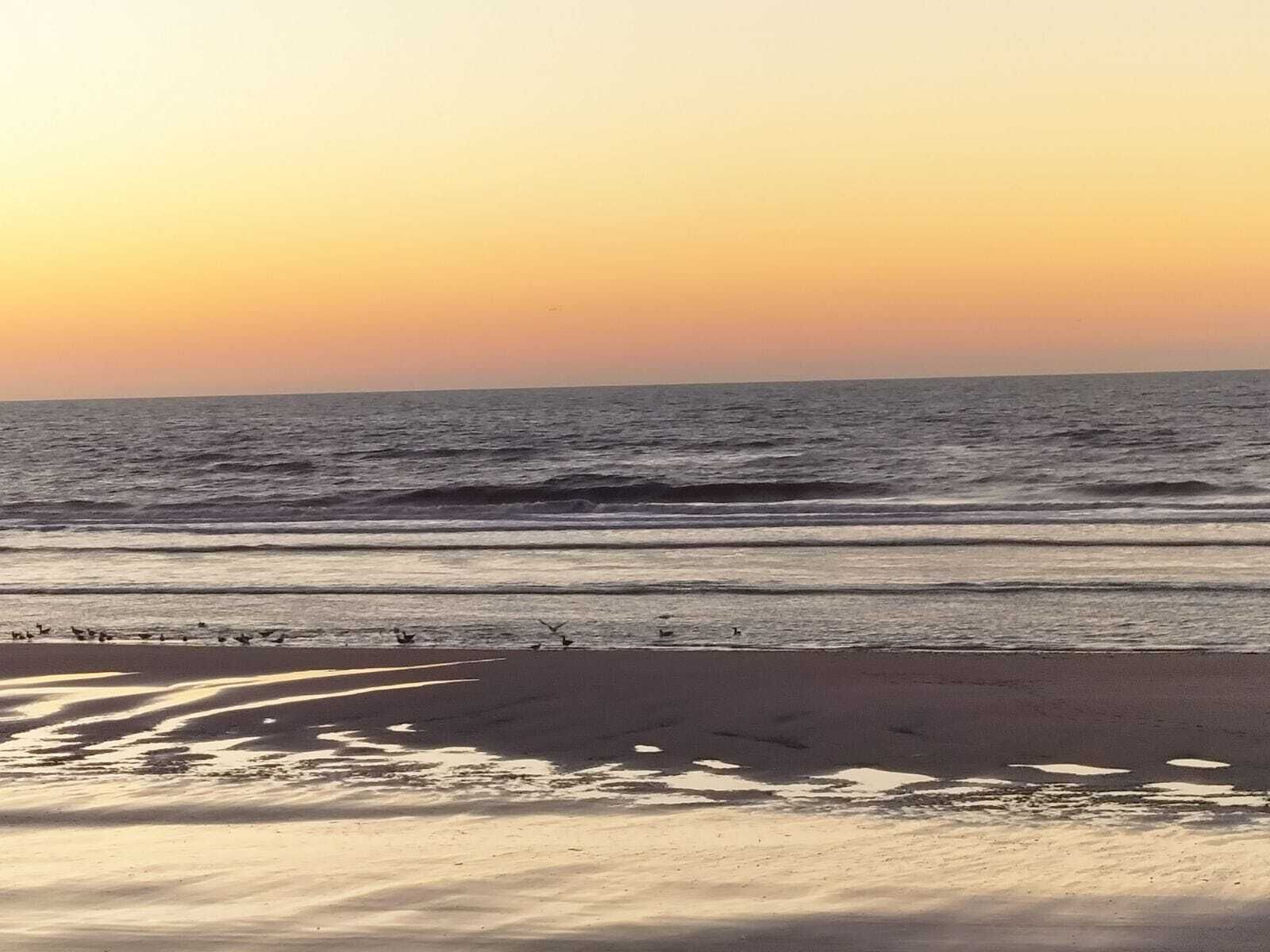 海滩