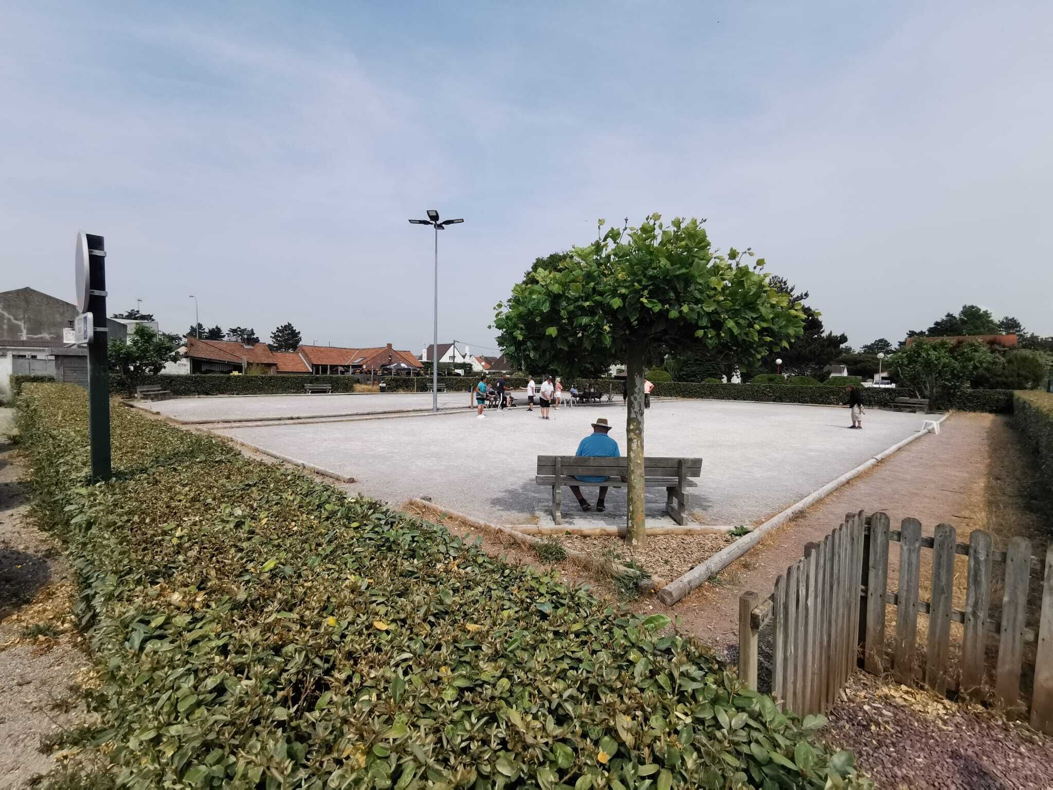 A park with a bench, a tree, and a paved area.