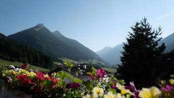 A mountain landscape with a clear sky, a village in the valley, and a foreground of colorful flowers.