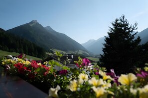 A mountain landscape with a clear sky, a village in the valley, and a foreground of colorful flowers.