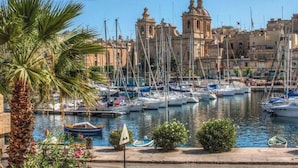 Marina com barcos atracados, uma palmeira e edifícios ao fundo.