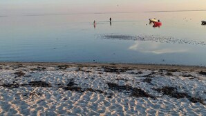 En strand med stilla vatten, några båtar och fotspår i sanden.