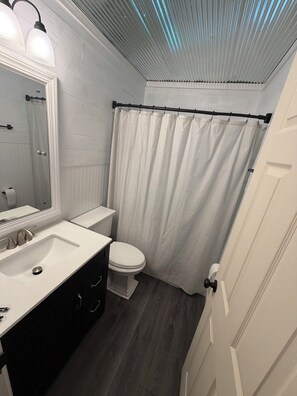 Bathroom - Charming 2-bedroom house with AC in fantastic Akron newly updated! (Akron)