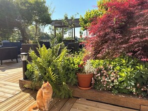 A wooden deck with a potted plant and a cat. - Large, charming vacation rental for 15 people (Barentin)