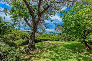 Un jardin luxuriant avec un grand arbre, une pelouse bien entretenue et un bâtiment en arrière-plan.