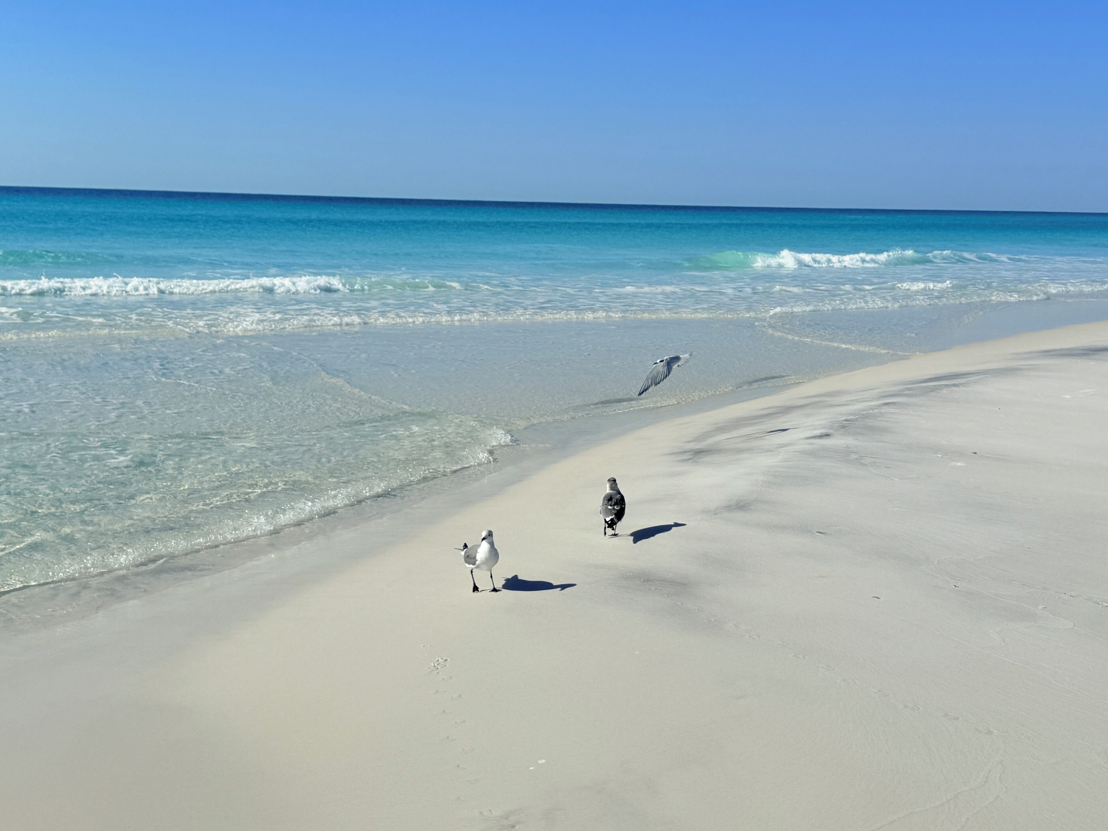 A beach with clear water and a sandy shore.