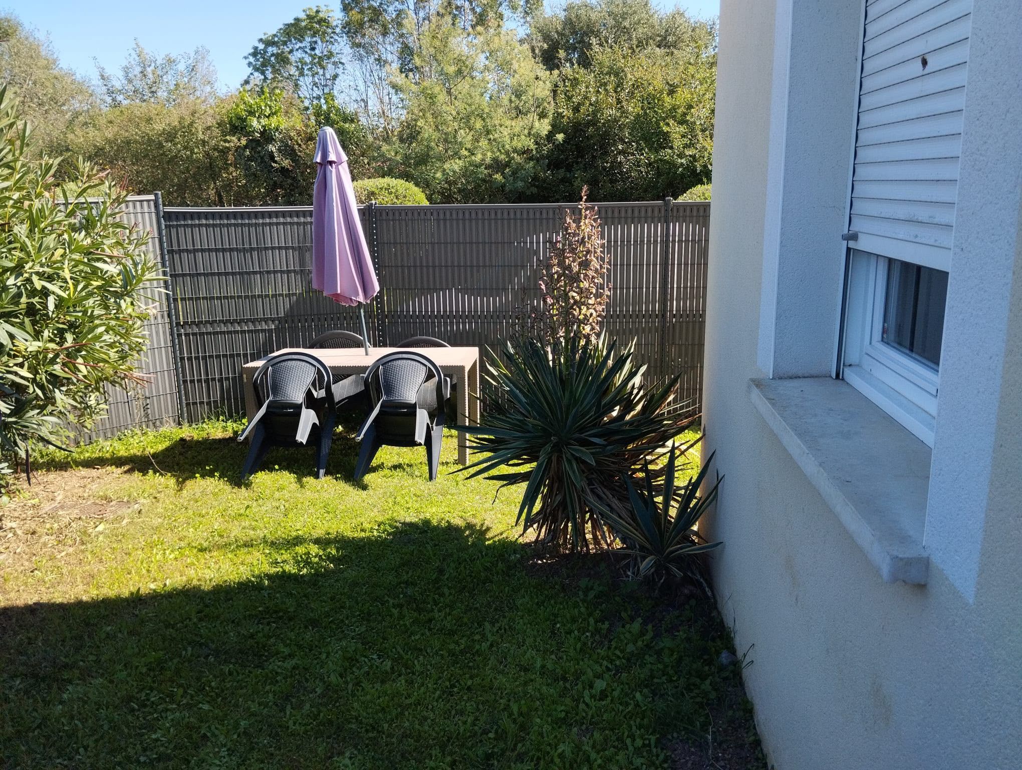 Ein Garten mit Tisch und Stühlen, einem violetten Sonnenschirm und einer hohen Pflanze.