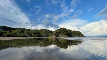 A beach with calm waters reflecting the sky and surrounding greenery.