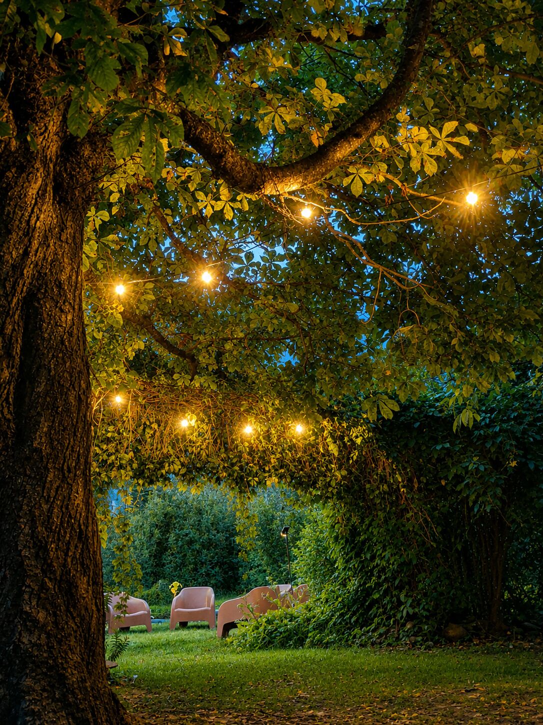 Un arbre décoré de guirlandes lumineuses, une pelouse et un banc.