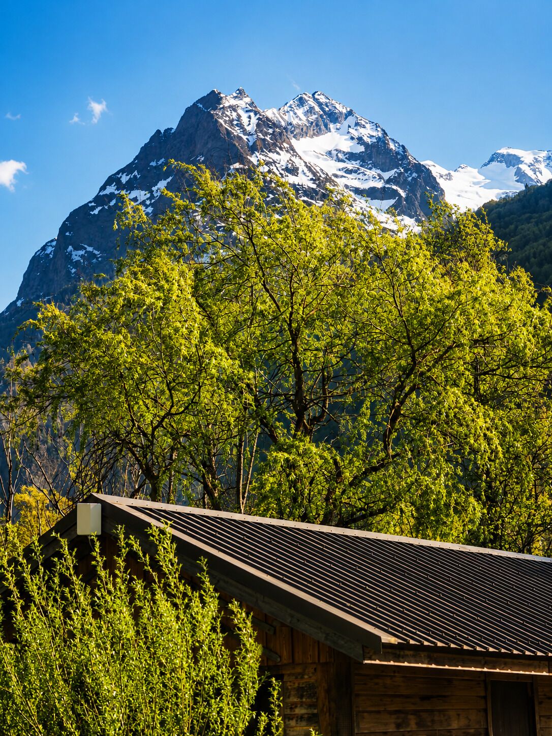 Une montagne aux sommets enneigés en arrière-plan, un chalet en bois avec un toit en pente au premier plan et un feuillage vert et dense.