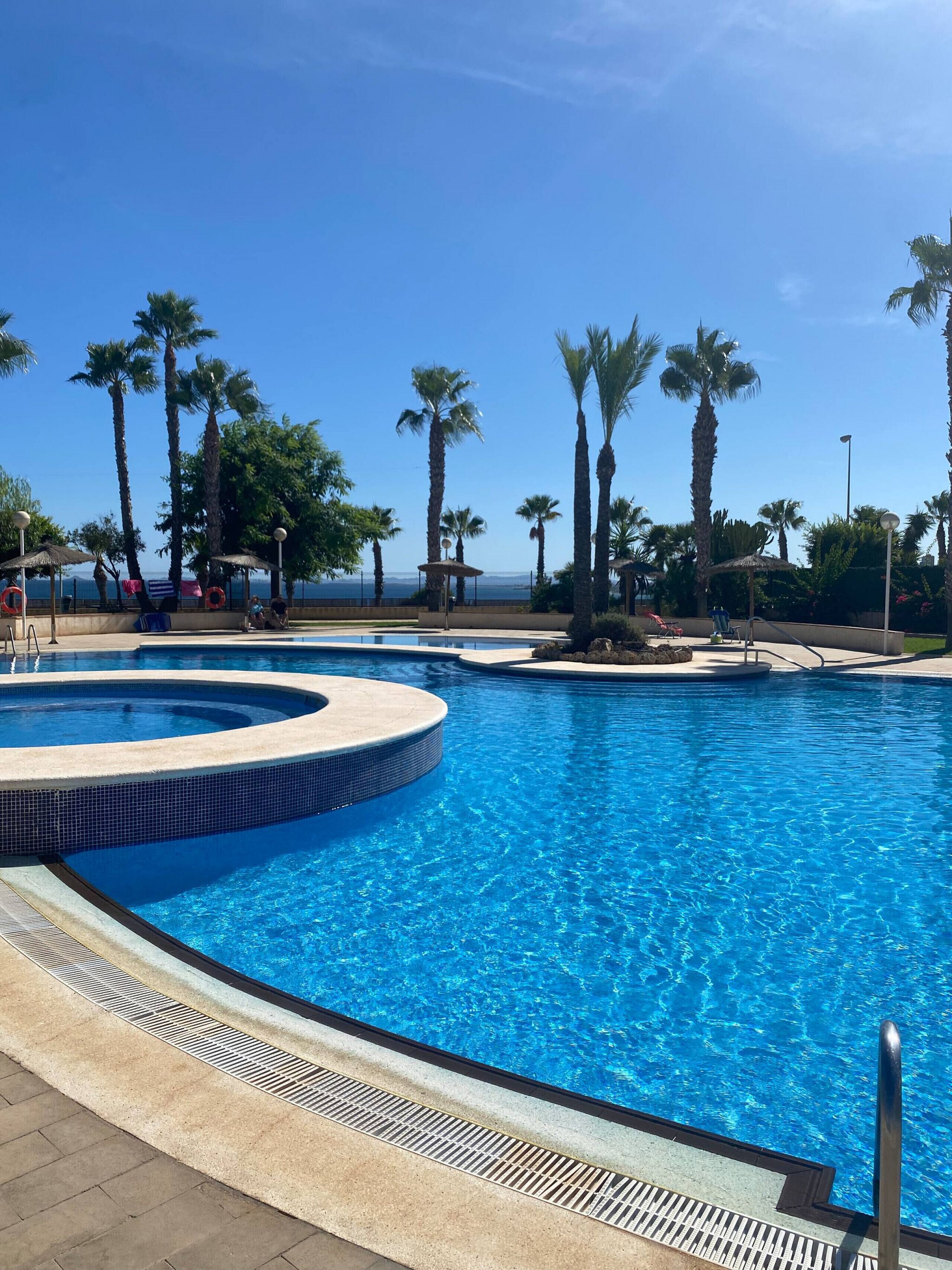 Une piscine à bord incurvé, entourée de palmiers et bordée d’un ciel dégagé.