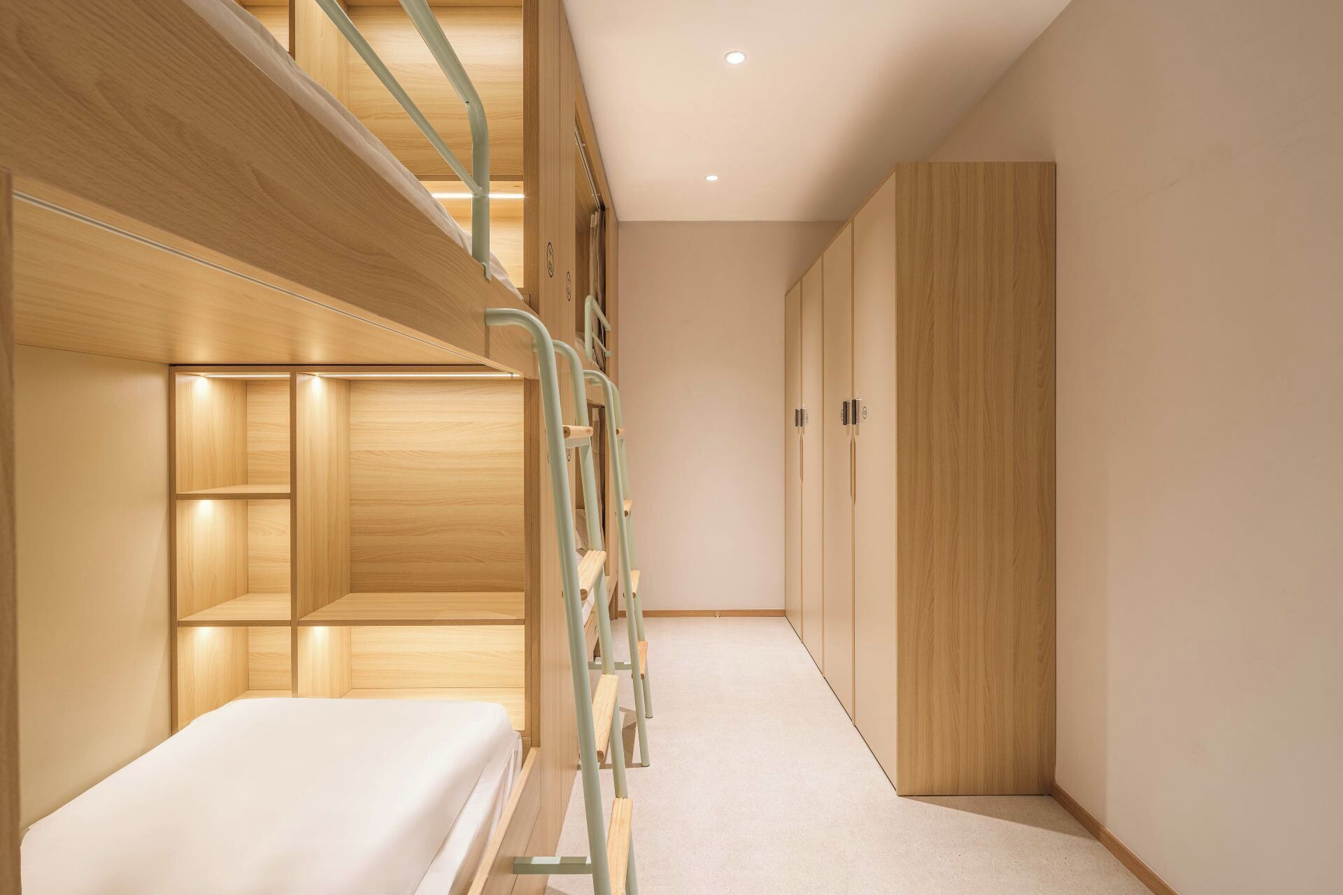 A bunk bed with a ladder, a wardrobe, and a carpeted floor.