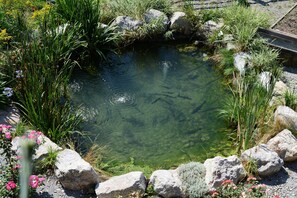 A clear pond surrounded by rocks and various plants. - Apartment Hitscherhof - Abart with Balcony and Wi-Fi (Söll)